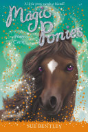 Pony Camp cover