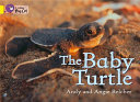The Baby Turtle cover