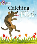 Catching Flies cover