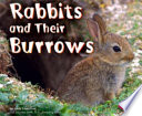 Rabbits and Their Burrows cover