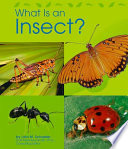 What Is an Insect? cover