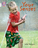 Your Senses cover