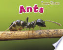 Ants cover