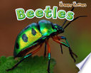 Beetles cover