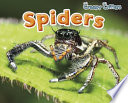 Spiders cover
