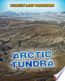 Arctic Tundra cover