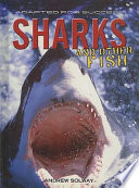 Sharks cover