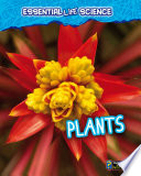 Plants cover