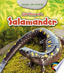 Life Story of a Salamander cover