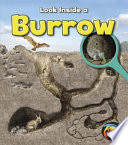 Look Inside a Burrow cover