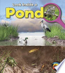 Look Inside a Pond cover