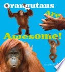 Orangutans Are Awesome! cover
