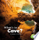 What's in a Cave? cover