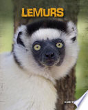 Lemurs cover