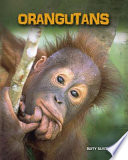 Orangutans cover