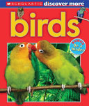 Birds cover