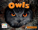 Owls cover