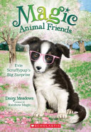 Evie Scruffypup's Big Surprise cover