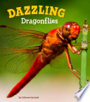 Dazzling Dragonflies cover