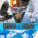 Kings of the Skies cover