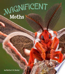 Magnificent Moths cover