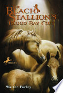 The Black Stallion's Blood Bay Colt cover