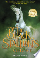 The Black Stallion's Ghost cover