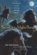 Secret of the Night Ponies cover