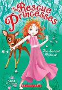 The Secret Promise cover