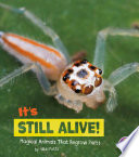 It's Still Alive!: Magical Animals That Regrow Parts cover