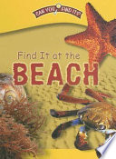 Find It at the Beach cover