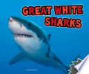 Great White Sharks cover