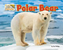 Polar Bear cover