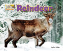 Reindeer cover