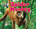 Spider Monkey cover