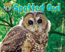 Spotted Owl cover