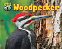 Woodpecker cover