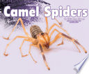 Camel Spiders cover