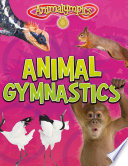 Animal Gymnastics cover