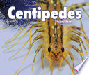 Centipedes cover