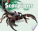 Scorpions cover
