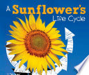 A Sunflower's Life Cycle cover