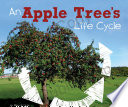 An Apple Tree's Life Cycle cover
