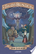 The Not-So-Evil Wizard cover