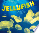 Jellyfish cover