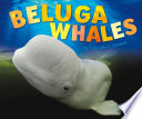 Beluga Whales cover