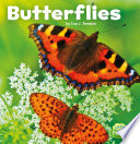 Butterflies cover