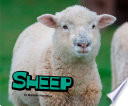 Sheep cover