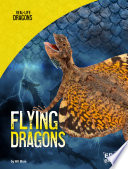 Flying Dragons cover