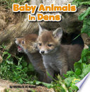 Baby Animals in Dens cover
